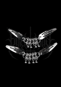 BARRETTES "VESPERA"
